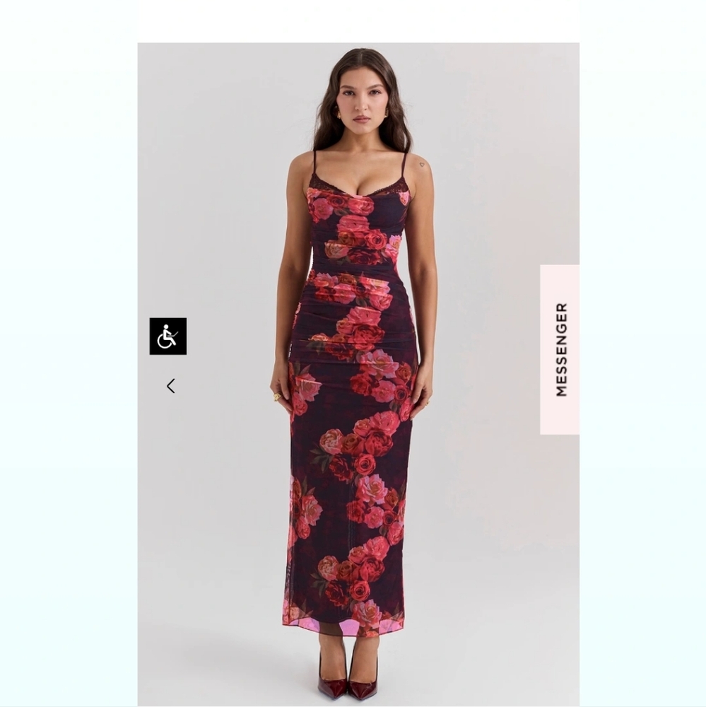 Nalini romantic rose maxi mesh dress